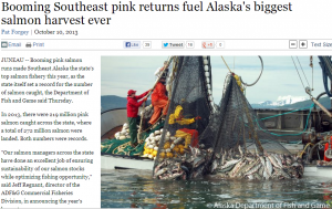 Pink Salmon in Alaska