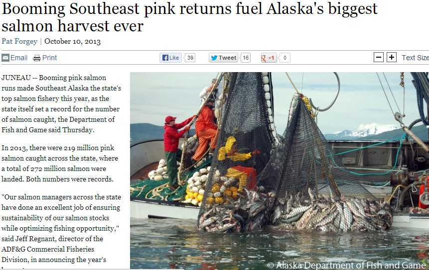 sitka news salmon story