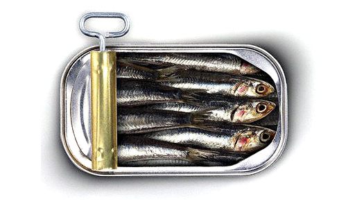 sardines-can.jpg