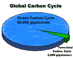 ocean carbon cycle pie