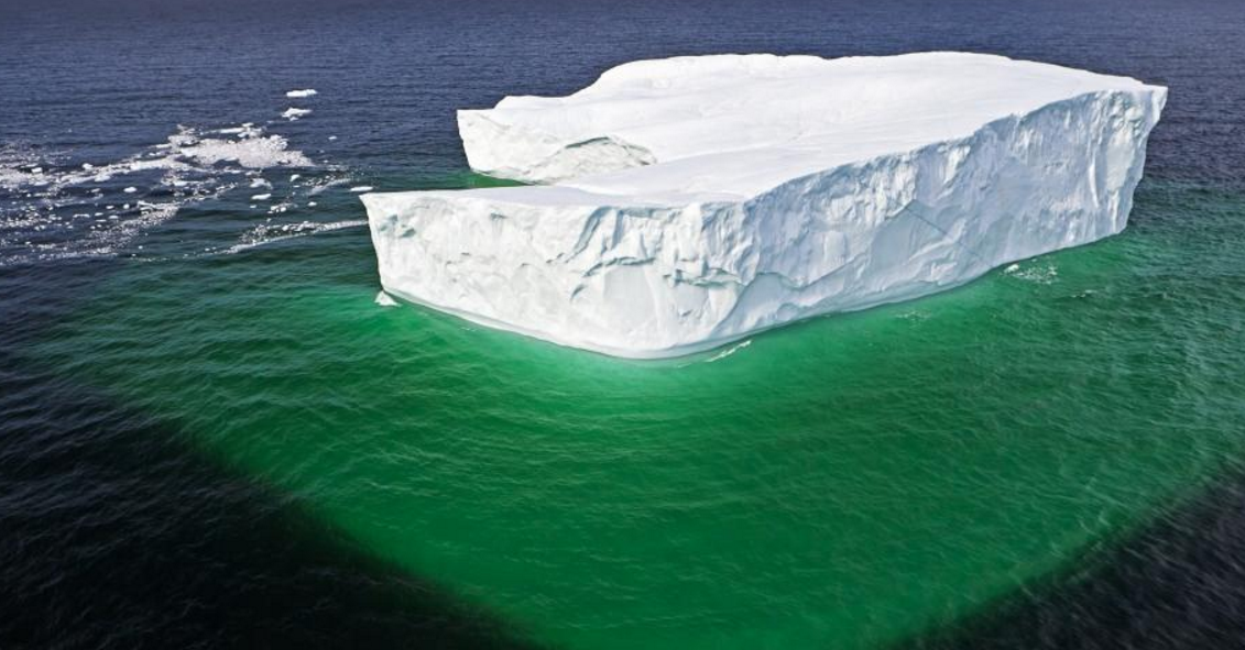 icebergs turn ocean pastures green with plankton