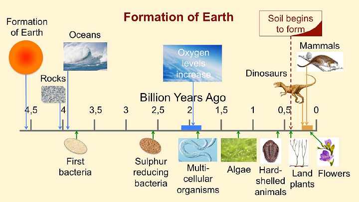 Timeline of oceans and life on 'earth'