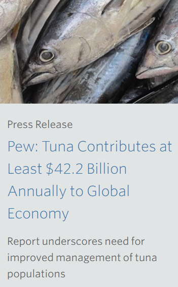 Pew_tuna_release
