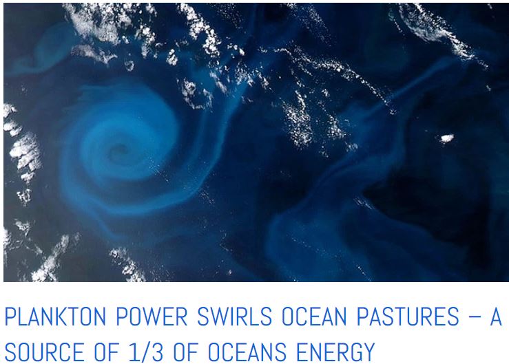 plankton power for ocean motion
