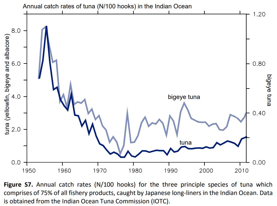 Indian Ocean tuna collapse