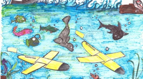Slocum Gliders - Ocean Science Dream Machines