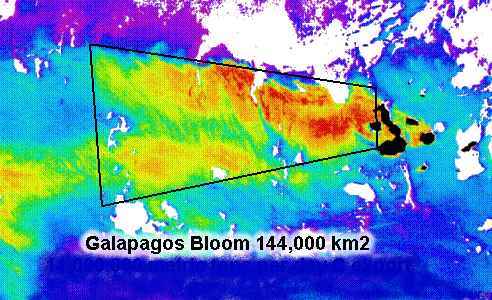 Galapagos_bloom is a refugia from global bluing
