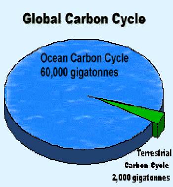global warming ocean carbon cycle