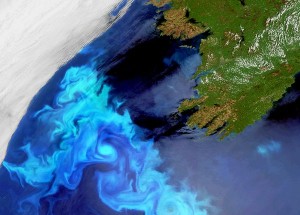 space107-plankton-blooms_24804_600x450