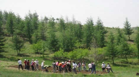 Chinese Volunteers Have Planted 64 Billion Trees