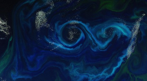 Oceans Manage The World's CO2