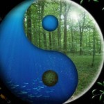 yin-yang-earth-plankton