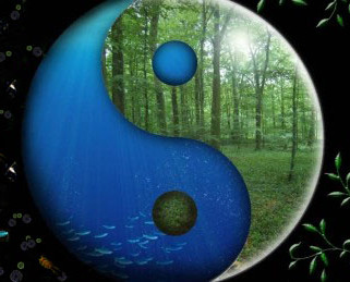 yin and yang plants on earth and in ocean Mother Nature