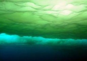 Phytoplankton Blooming Beneath Thinning Arctic Ice