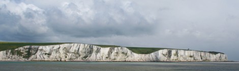 Origin Of White Cliffs Of Dover Phytoplankton Ehux Genome Sequenced 