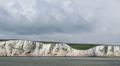 Origin Of White Cliffs Of Dover Phytoplankton Ehux Genome Sequenced 