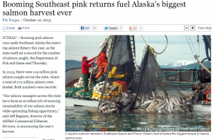 Largest salmon catch in history (click to enlarge)