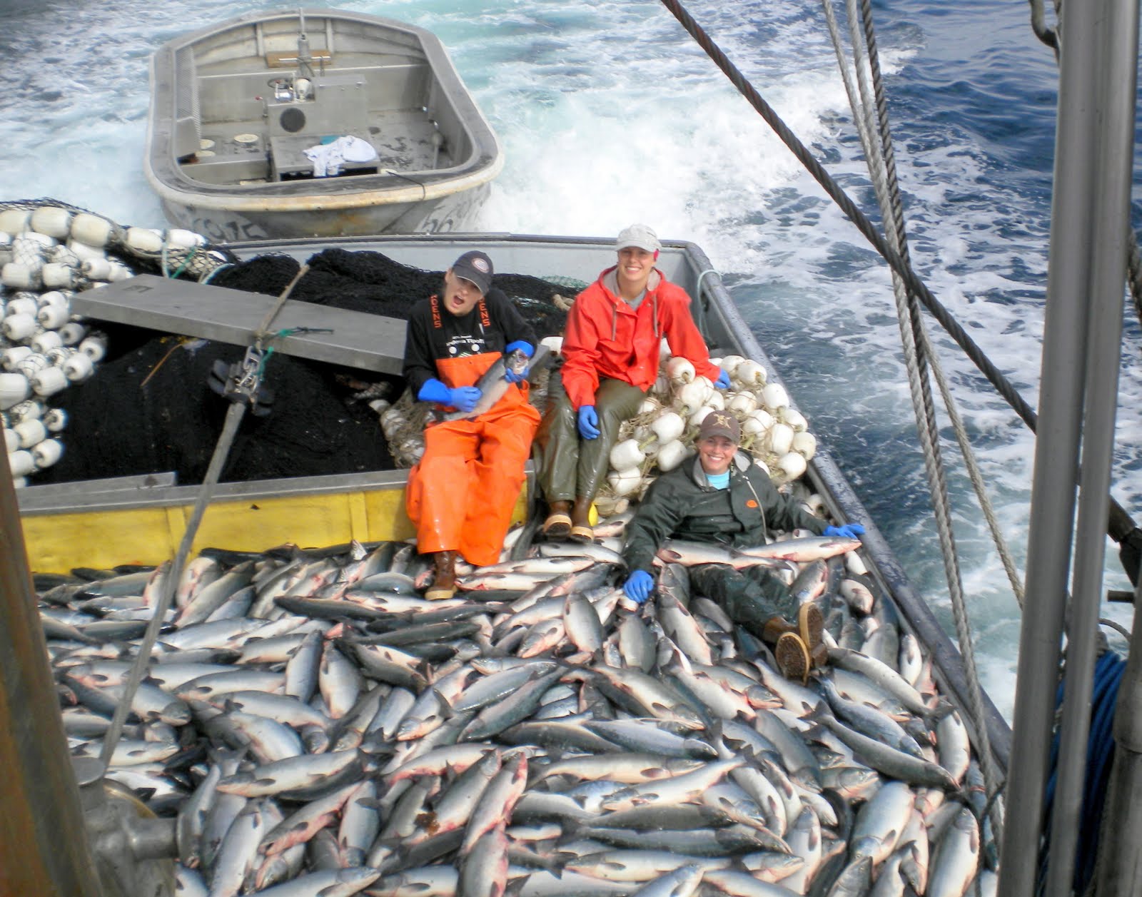 The Fish Came Back From Our Restored Ocean Pasture Producing The Largest Catch Of Salmon In Alaskan History