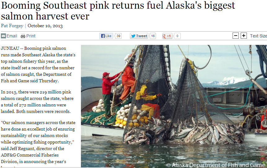 sitka news salmon story ocean warming