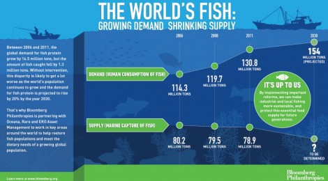 $53 Million Bloomberg Philanthropy To Restore Ocean Fish