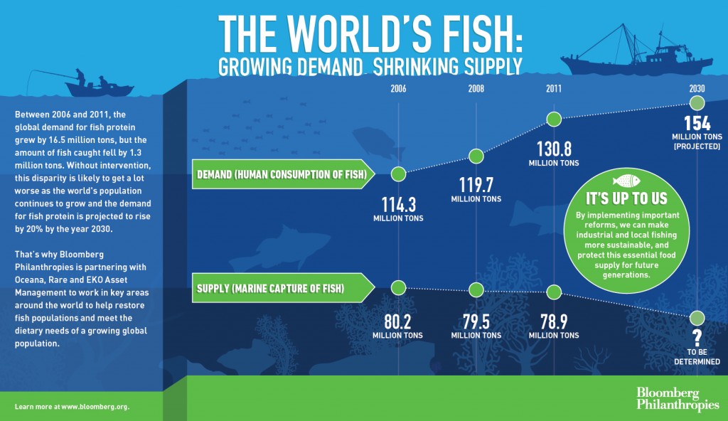 $53 Million Bloomberg Philanthropy To Restore Ocean Fish - Russ George