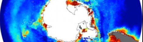 Ocean Primary Productivity Shown To Be Vastly Under Reported