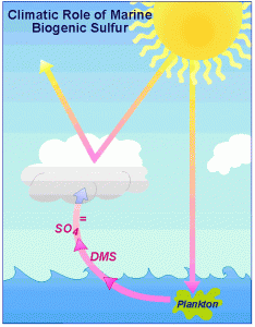 Ocean Plankton Help Make Clouds - source TAMU