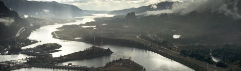 Columbia River Salmon Thrive On $500 Million Annual Subsidy