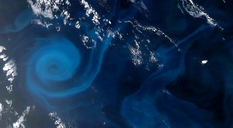 Plankton Power Swirls Ocean Pastures - A Source Of 1/3 Of Oceans Energy