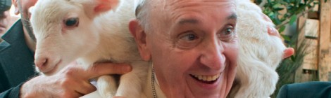 Papal Advice Becoming Good Shepherds Of Nature
