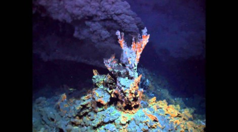 Rapid Changes In Ocean Pastures Not Tied To Deep Ocean Iron Sources