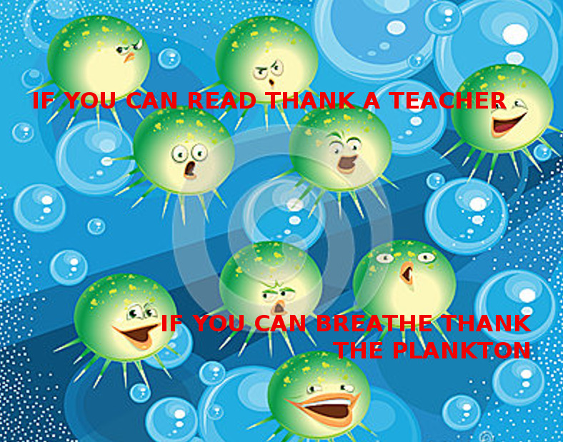 thank the plankton
