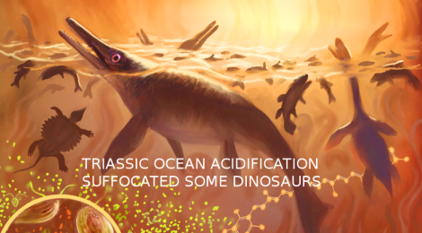 Triassic Ocean Acidification Wiped Out 95% Of All Life