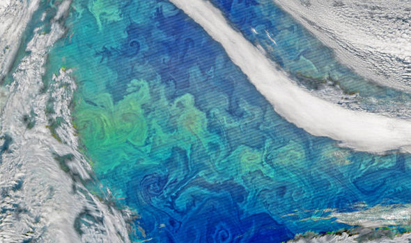 NASA's Earth Observatory Plankton Bloom in North Atlantic Fall 2015