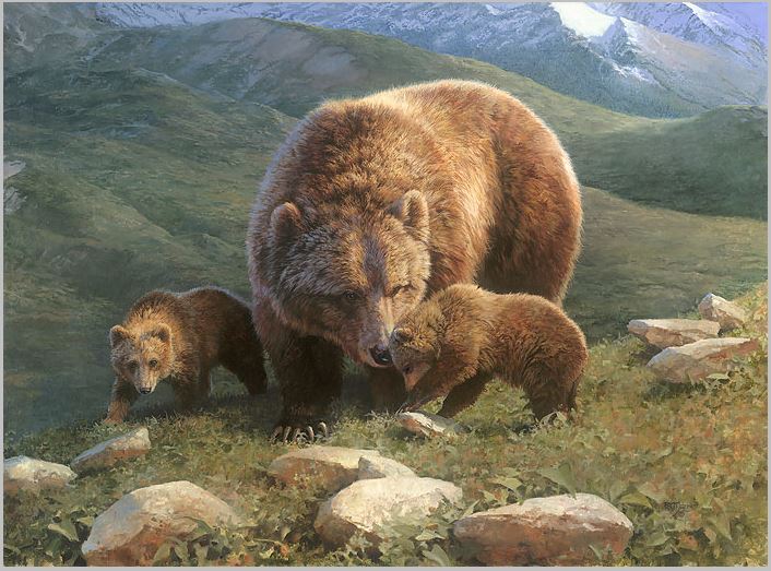 grizzly mother and cubs