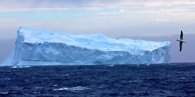 giant icebergs