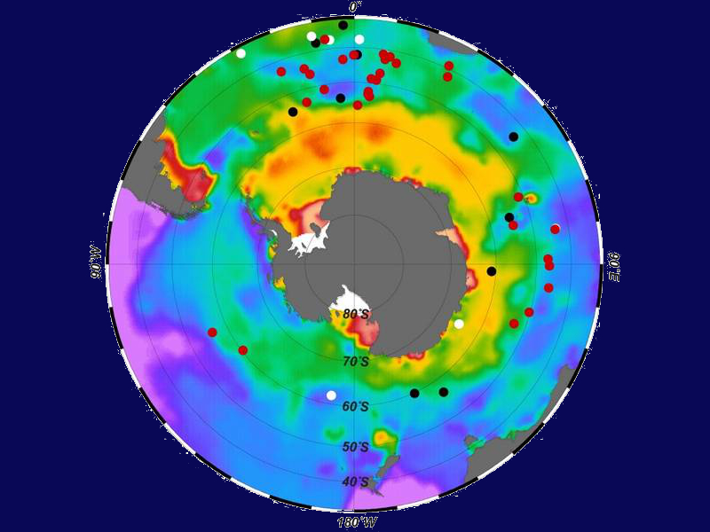 Antarctic_plankton_CO2_wide