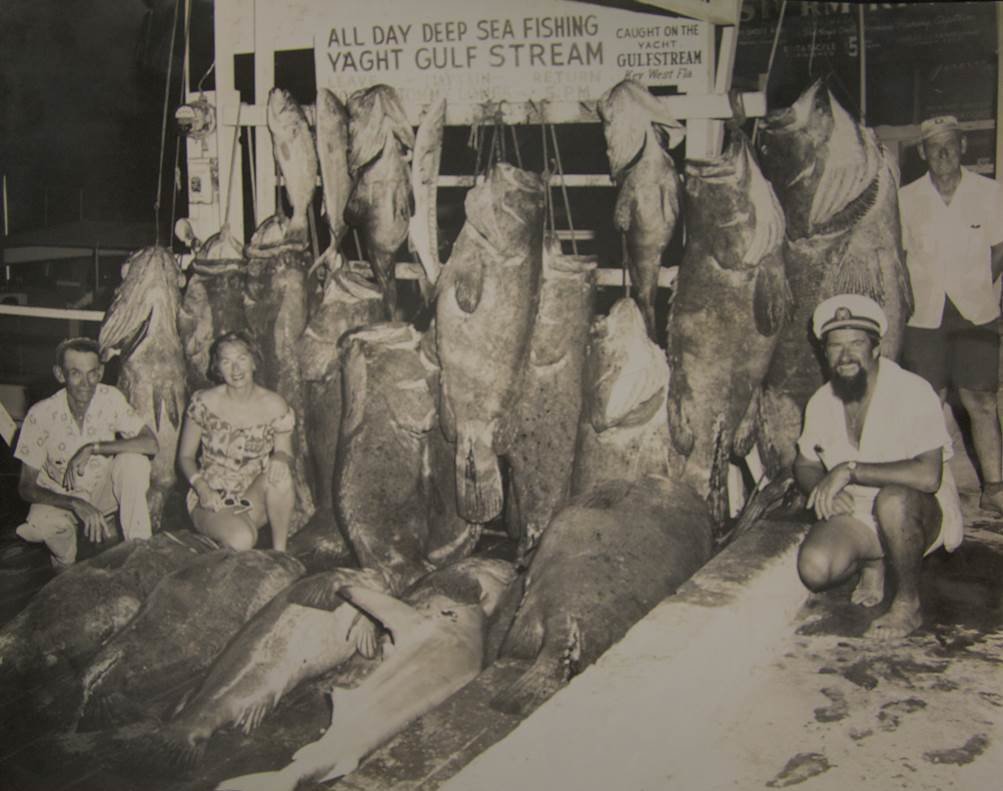1957 fish shrinking