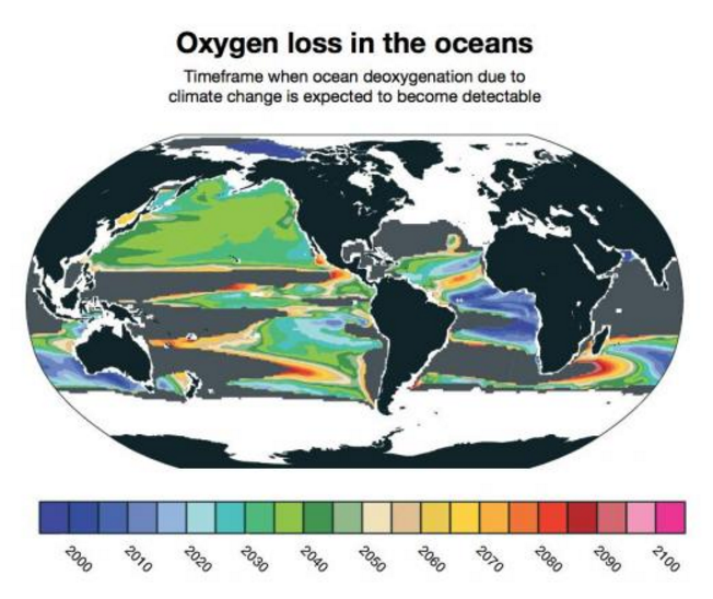 ocean oxygen decline