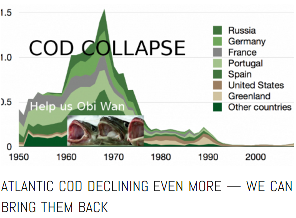 Cod_collapse_story_snip1
