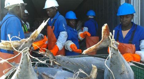 namibia tuna workers