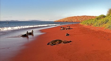 red sand beachs fight global bluing