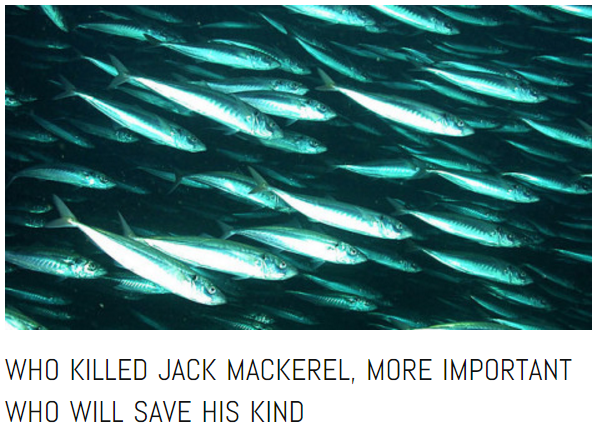 Who killed Jack Mackerel