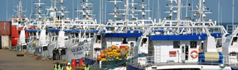 Mozambique Tuna Pasture Collapse Sinks Fleet And Country in $850 Million Debt