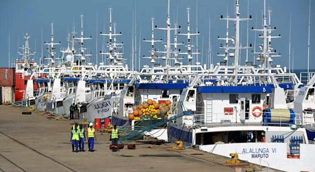 mozambique tuna fleet tied up