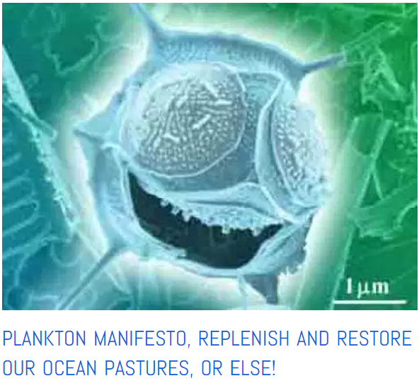 Plankton manifesto from ocean life