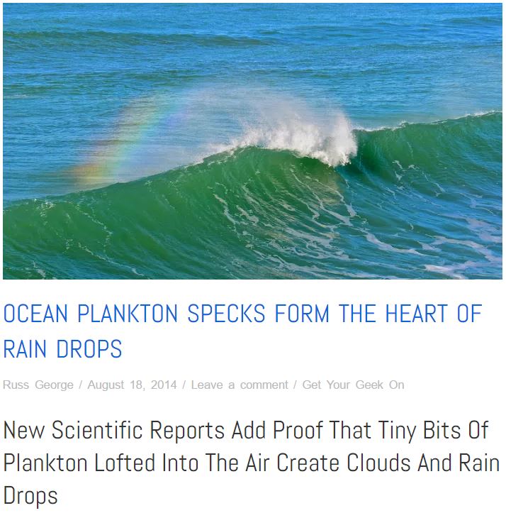 Plankton at the heart of every raindrop