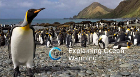Ocean Warming For And By The Politically Correct