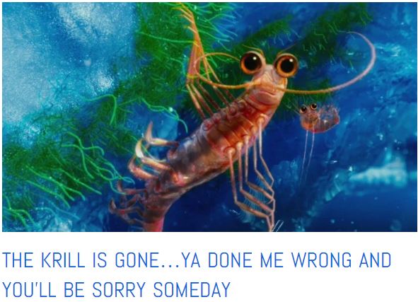 southern ocean krill is gone