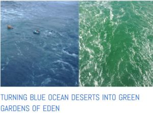 ocean plankton pastures turn from blue to green